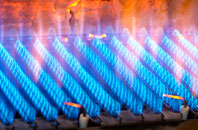 Catisfield gas fired boilers